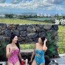 스테이인탐라 쉬멍 이미지