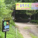 숲속 황토 민박 이미지