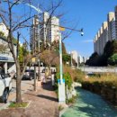 비엔에스 이미지