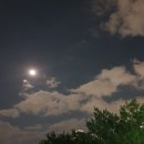 바이올린(중급) 이미지