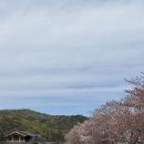 이상복 경주빵(보불로점) | 경주 여행 선물 추천 | 이상복경주빵 보불로점 — 황남빵 경주빵 찰보리빵