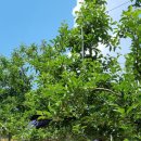 광시면행정복지센터 이미지