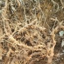 구암동355 이미지