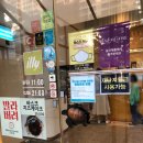 제롬치즈케이크