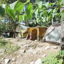 선녀탕집 이미지