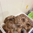 팔공농산