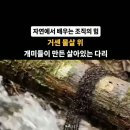 개미의 다리만들기 이미지