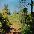 강화 나들길 제 20코스와 7코스 중복 부분 일부 탐방 이미지