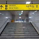 분당이매2-A-7 | [만보걷기] 이매 - 정자까지 가을 탄천 산책 (ft. 사진 압박 주의)