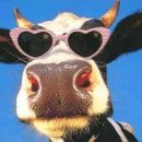 정현대영천식육식당 이미지