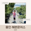 용인 헤븐온어스 후기 딸기체험 블루베리체험 동물먹이주기 총정리