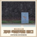 하얀 목장 | 제주 목장카페 밭디 승마 먹이주기 이색자전거 체험 솔직 후기