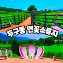 중리경로당 | 두구동 연꽃소류지 부산 이색 데이트 가볼만한곳 금정구 마을버스 타고 다녀온 후기