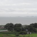 갯벌보러가는길 이미지