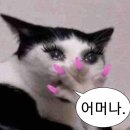(사)한국기독학생회 | 다낭에!!!서 누가돌아왔!!!게