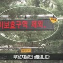 대전은 점심시간에는 어린이보호구역 주정차를 허용하고 있다. 이미지