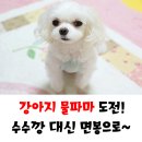 철수파마
