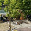 구룡자동차야영장(치악산국립공원) 이미지