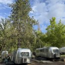 오토캠프 | 샌프란시스코 글램핑 - 오토캠프 요세미티 (AutoCamp Yosemite)