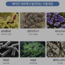 주성식당