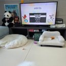 천국계획 | 눈치 주는 리듬 게임이에요(닌텐도 스위치2 리듬천국 미라클 스타즈 후기)