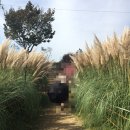 해신생선구이점