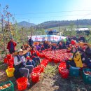 연평농장 이미지