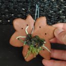 원농장1 이미지