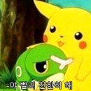 무지성