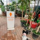 아산만로 | 아산 세계꽃식물원 리아프가든센터, 겨울철 실내 데이트 &amp; 가족 여행지로 딱 좋은 곳! (애견동반 후기)