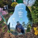 공원휴게점 | 남산 벚꽃 러닝 북측순환로 코스 및 남산러너샤워장(중부공원여가센터) 이용 방법 후기