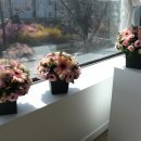 화훼장식기능사 이미지