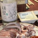 꼬순네 이미지