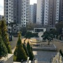 매교별공인중개사사무소 이미지