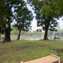 센트럴파크약국 이미지