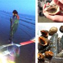 안면도 카사블랑카 | 안면도펜션 카사블랑카가 답이다