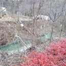 여주-0091 이미지