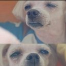 할머니네청국장 이미지