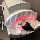 인제도서 | 남포동다이어트, 쥬비스 서면점에서 관리받은 후기