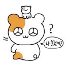 숯토리천안두정점