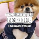 예뻐지개 이미지