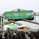 송이투어 Daum카페
