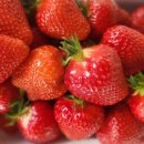 가덕농장 이미지