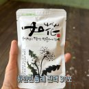 하얀민들레 이미지