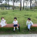 새빛어린이공원 이미지