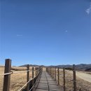 남창원농협 경제사업소 | 서산 가볼만한 곳 - 서산 한우목장웰빙산책로 (꼭 네이버지도에서 주차장으로 찍고 가세요..ㅎ)