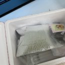 멍멍쩝쩝 이미지