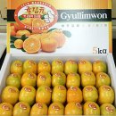 귤림하우스 이미지