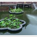 예원화원&예원 이미지