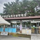 고령군농특산물판매장 | 고령군 기념품 마그넷 농특산물판매장에서 구입했어요!
